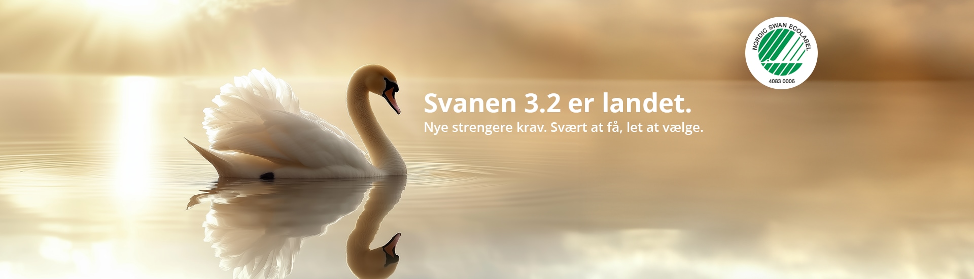 DK_Swan_3-2_Header.png